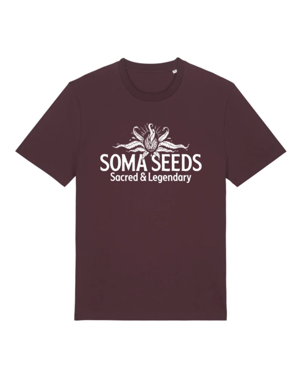 Soma Seeds Original Logo T-shirt 2024 (Burgandy) Strain 2